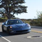 DSC_6302 (May 05, 2023)